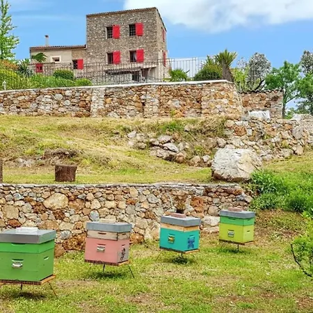 Feriehus Maison De Charme Avec Piscine Partagee A *